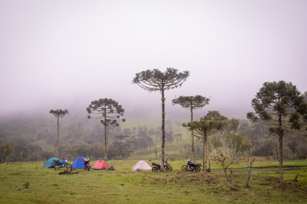 Foto Passeio Day Off Contestado 2020 - 752